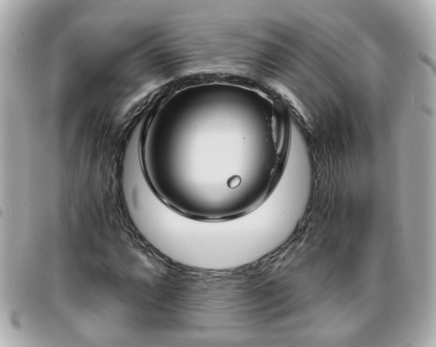 X0000096201064200801251008