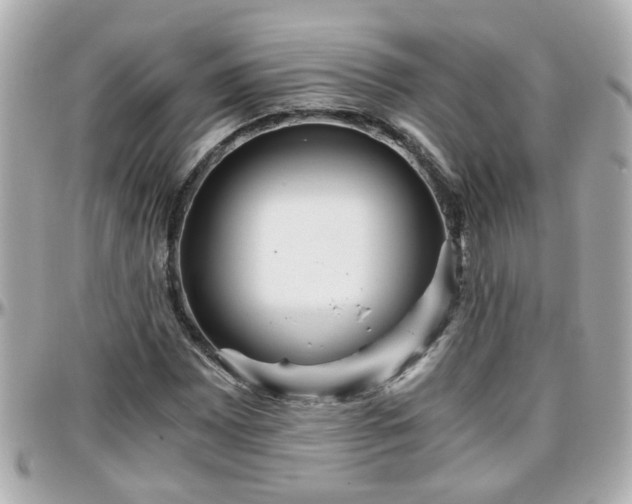 X0000096201065200801251008