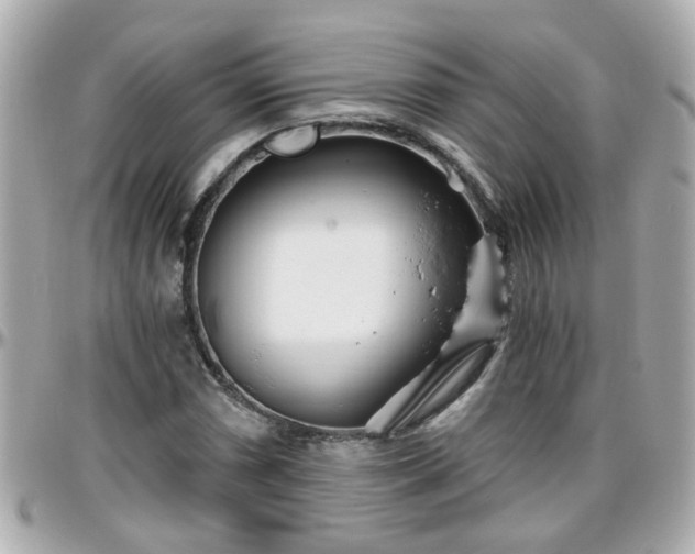 X0000096201066200801251008