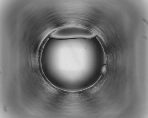 X0000096201068200801251008