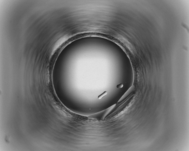 X0000096201069200801251008