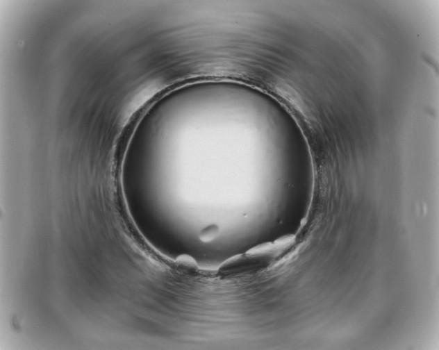 X0000096201071200801251008