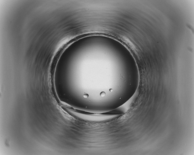 X0000096201072200801251008