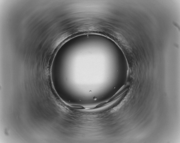 X0000096201073200801251008