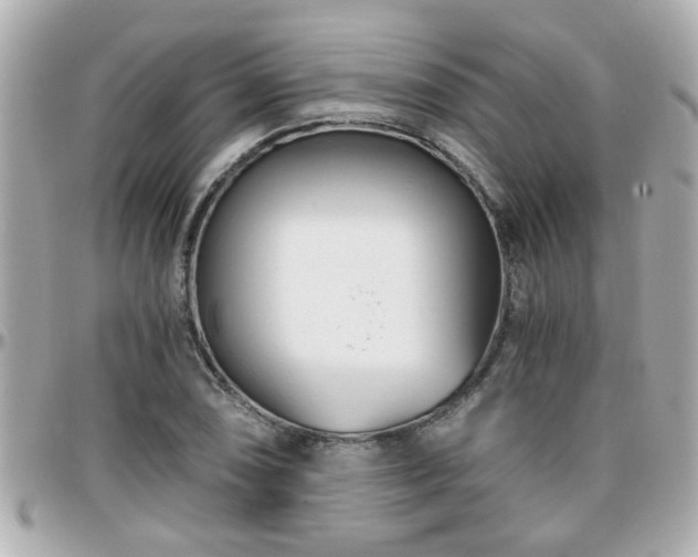 X0000096201074200801251008