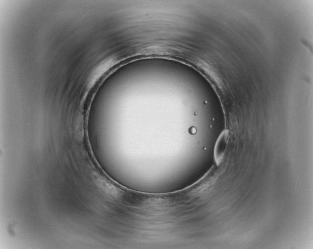 X0000096201075200801251007