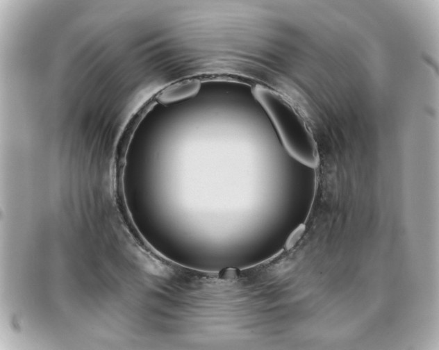 X0000096201076200801251007