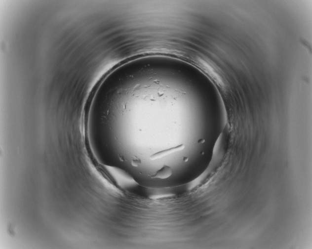 X0000096201084200801251007