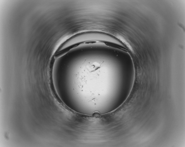 X0000096201085200801251007