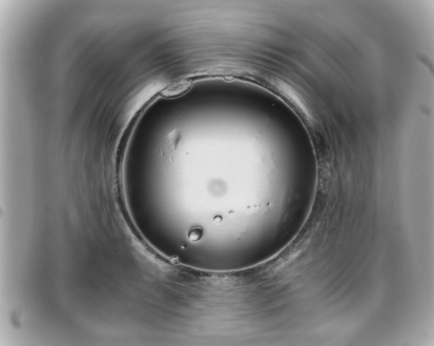 X0000096201087200801251007