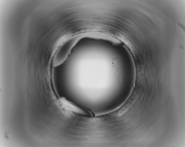 X0000096201088200801251007