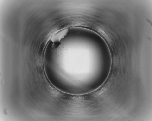 X0000096201089200801251007
