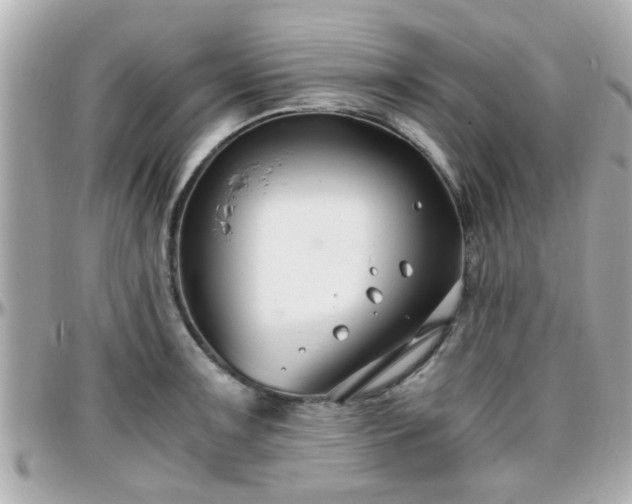 X0000096201091200801251007
