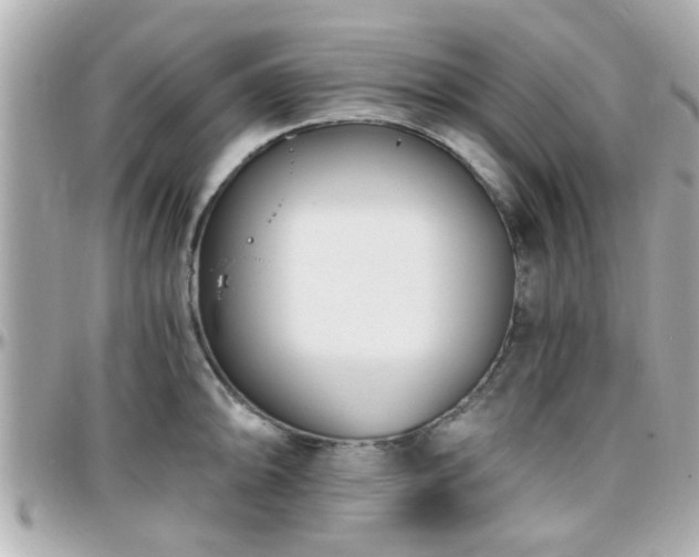 X0000096201094200801251007
