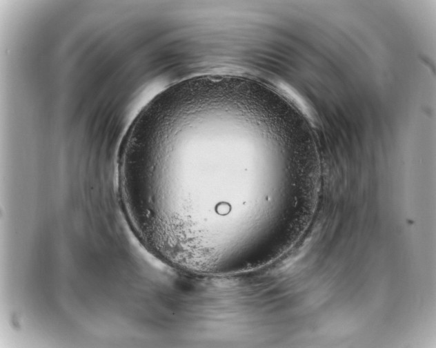 X0000096201095200801251007