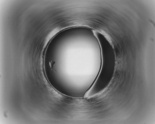 X0000096201096200801251007