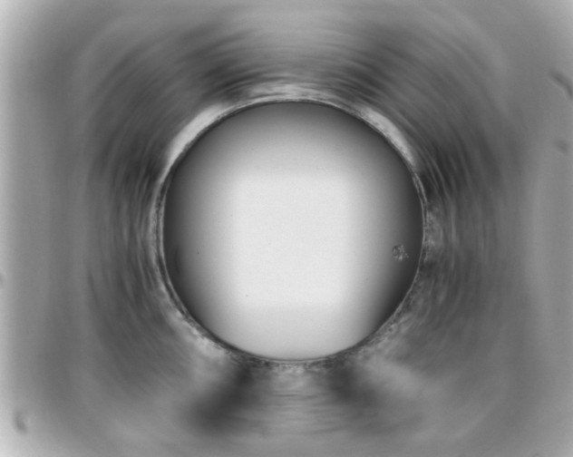 X0000096201098200801251007