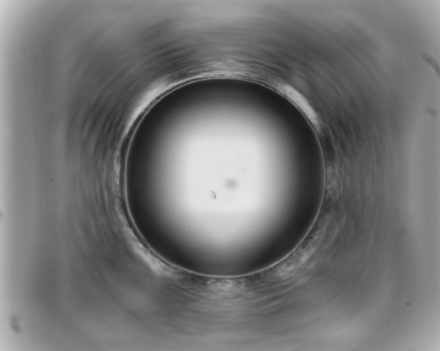 X0000096201099200801251007