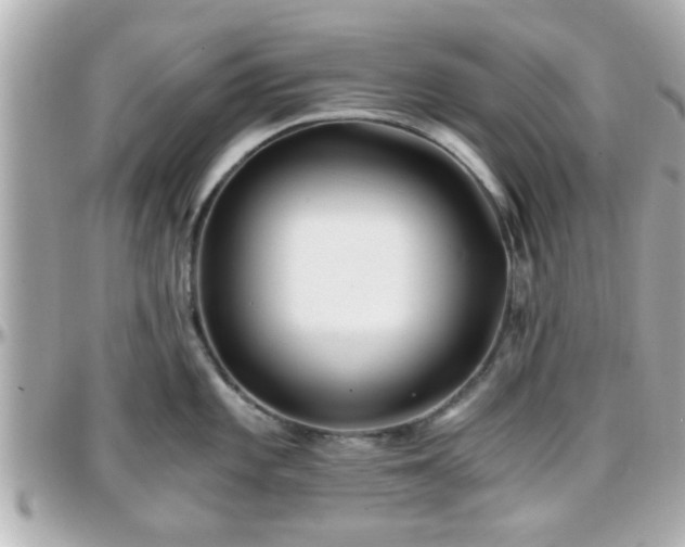 X0000096201101200801251007