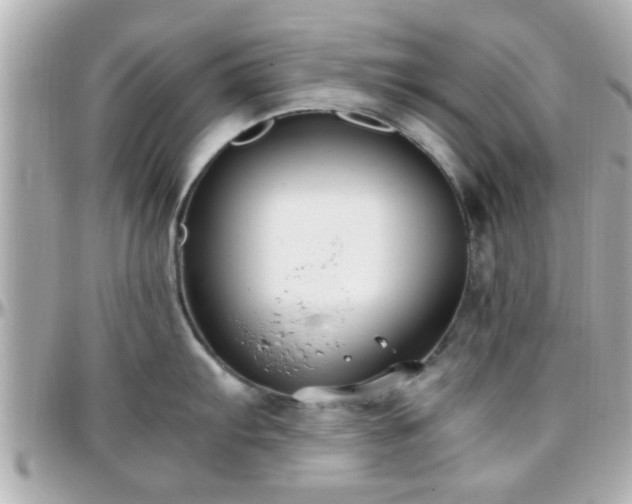X0000096201103200801251007