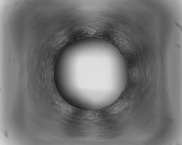 X0000096201105200801251006