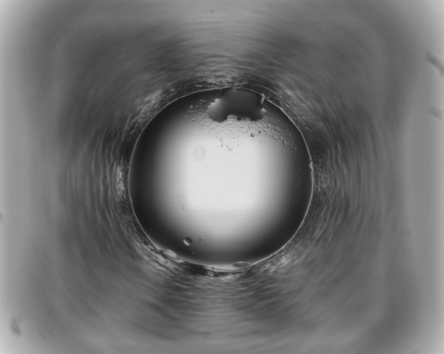 X0000096201106200801251006