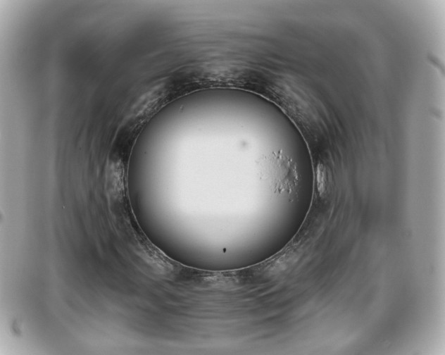 X0000096201107200801251006