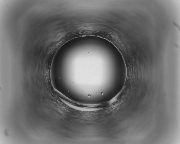 X0000096201109200801251007