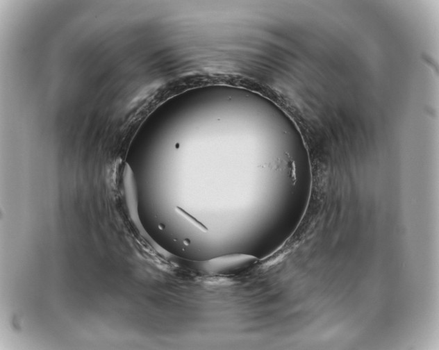 X0000096201110200801251007