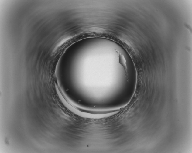 X0000096201112200801251007