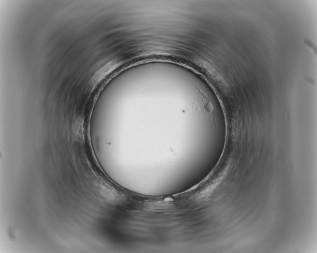 X0000096201113200801251007