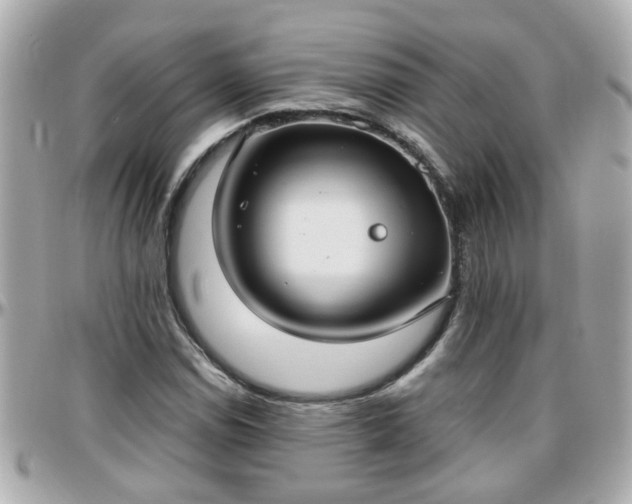 X0000096201114200801251007