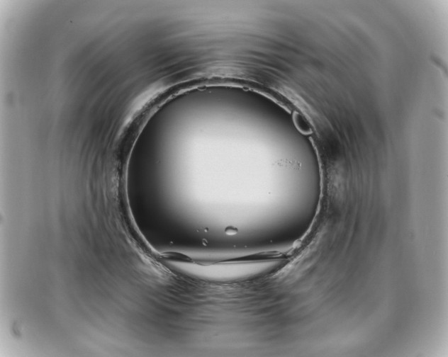 X0000096201115200801251007