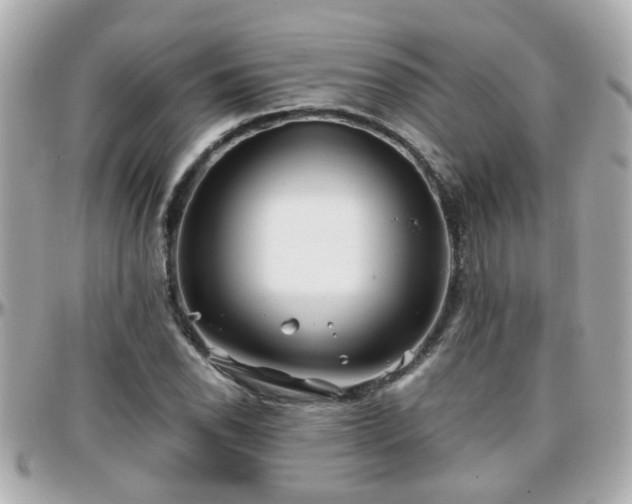X0000096201118200801251007