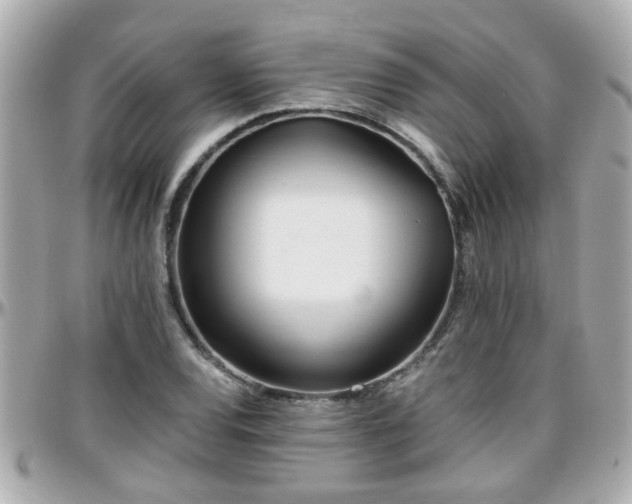 X0000096201120200801251007