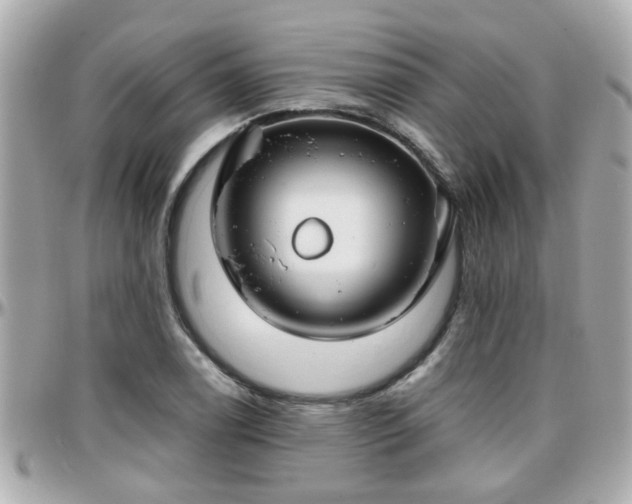 X0000096201122200801251007