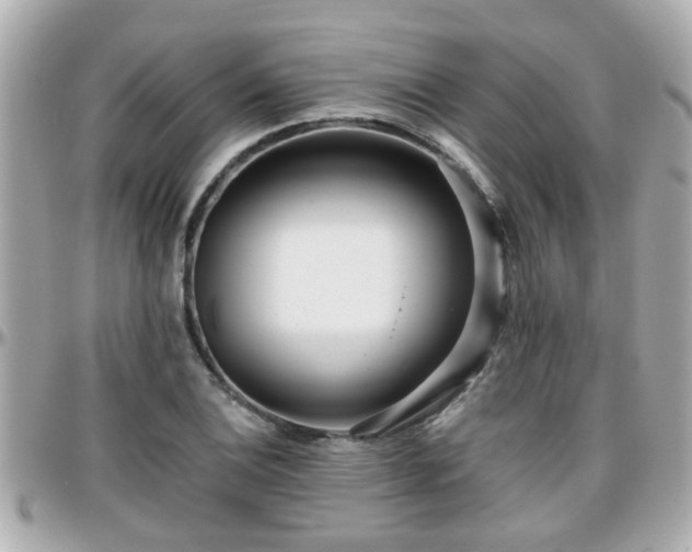X0000096201124200801251007
