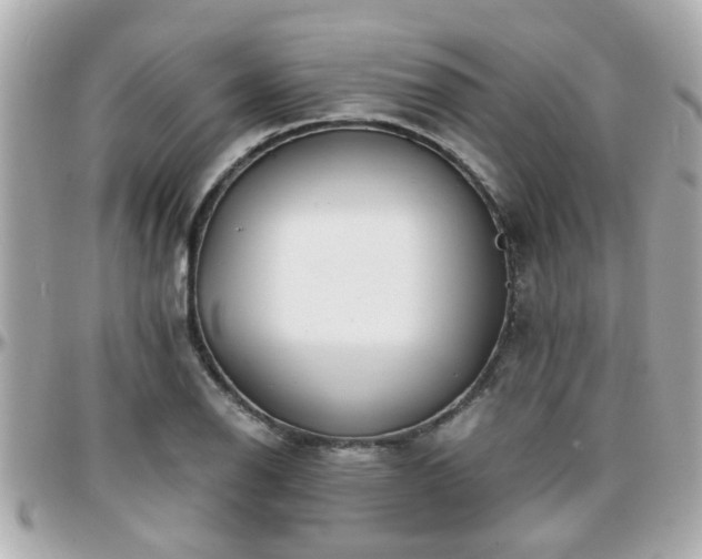 X0000096201126200801251007