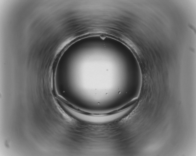 X0000096201127200801251007