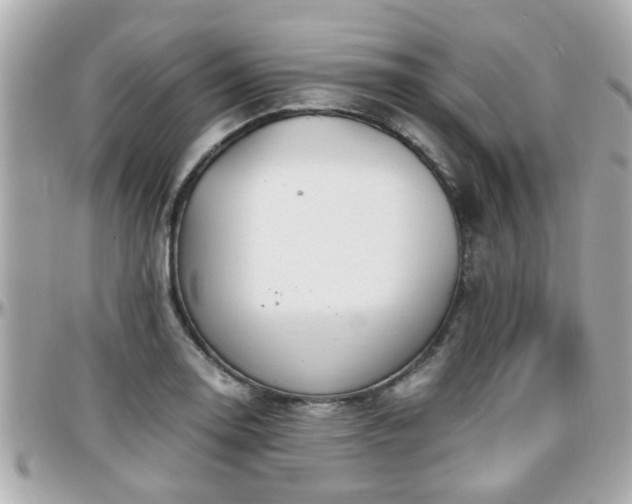 X0000096201130200801251007