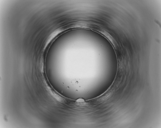 X0000096201131200801251007