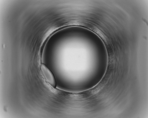 X0000096201132200801251007