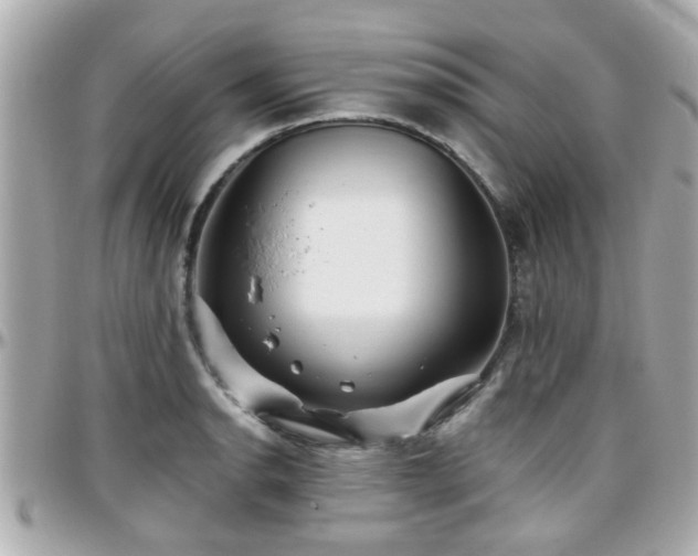X0000096201134200801251007