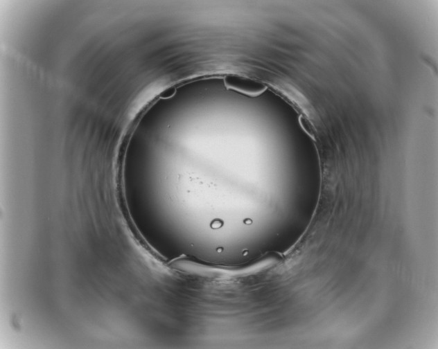 X0000096201135200801251007