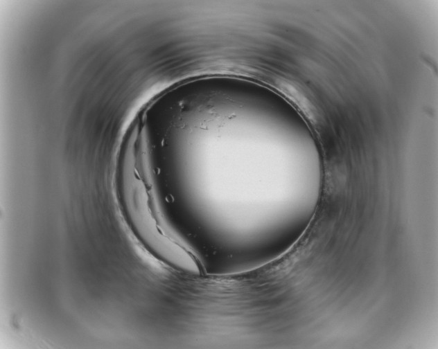 X0000096201136200801251007