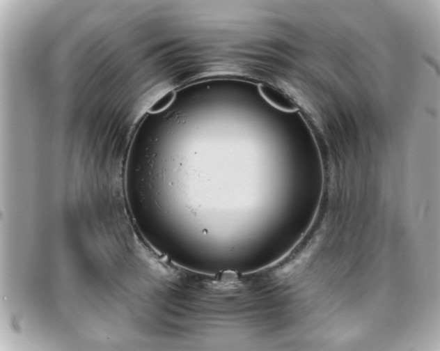 X0000096201137200801251007
