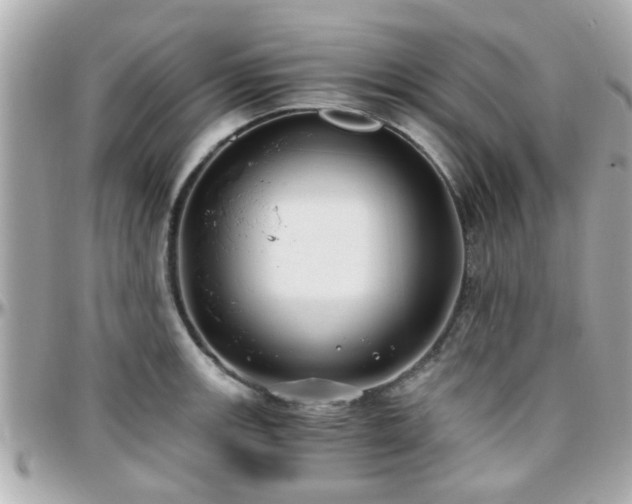 X0000096201139200801251007