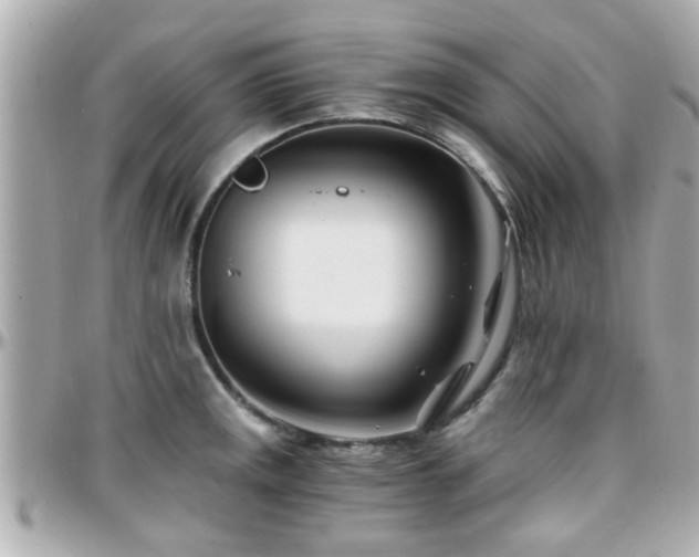 X0000096201141200801251007
