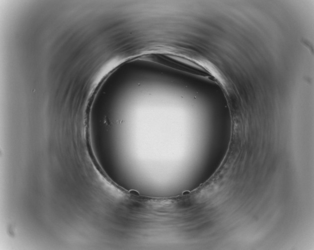 X0000096201143200801251007