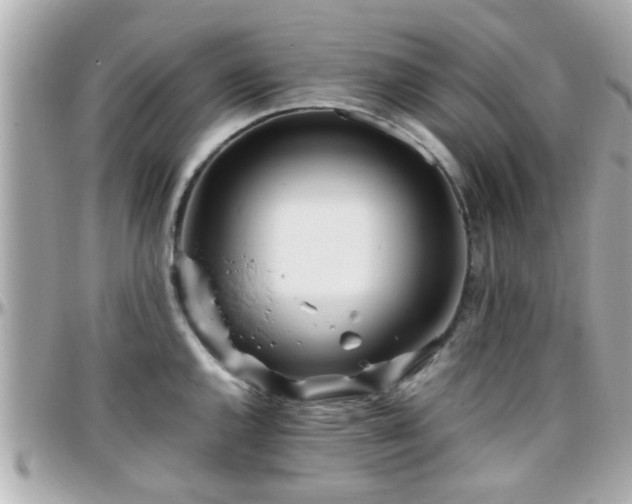 X0000096201144200801251007